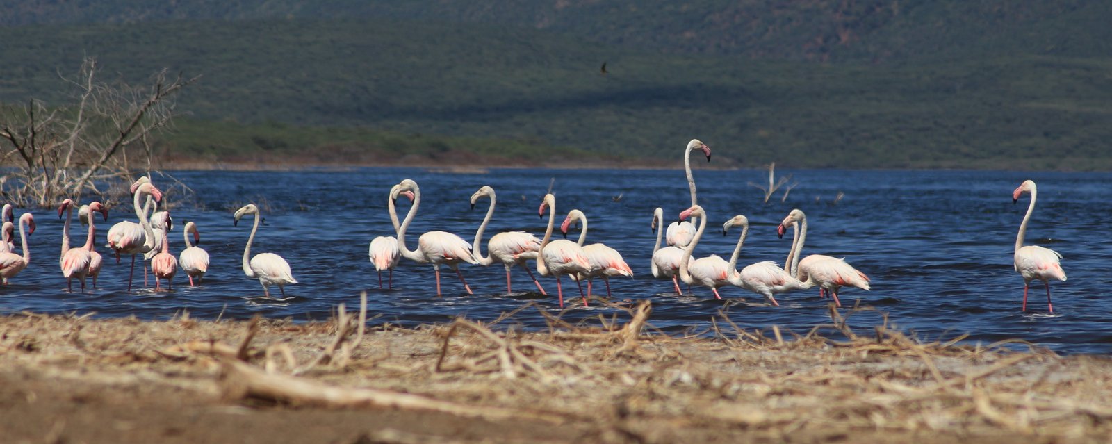 tucks travels in a truck