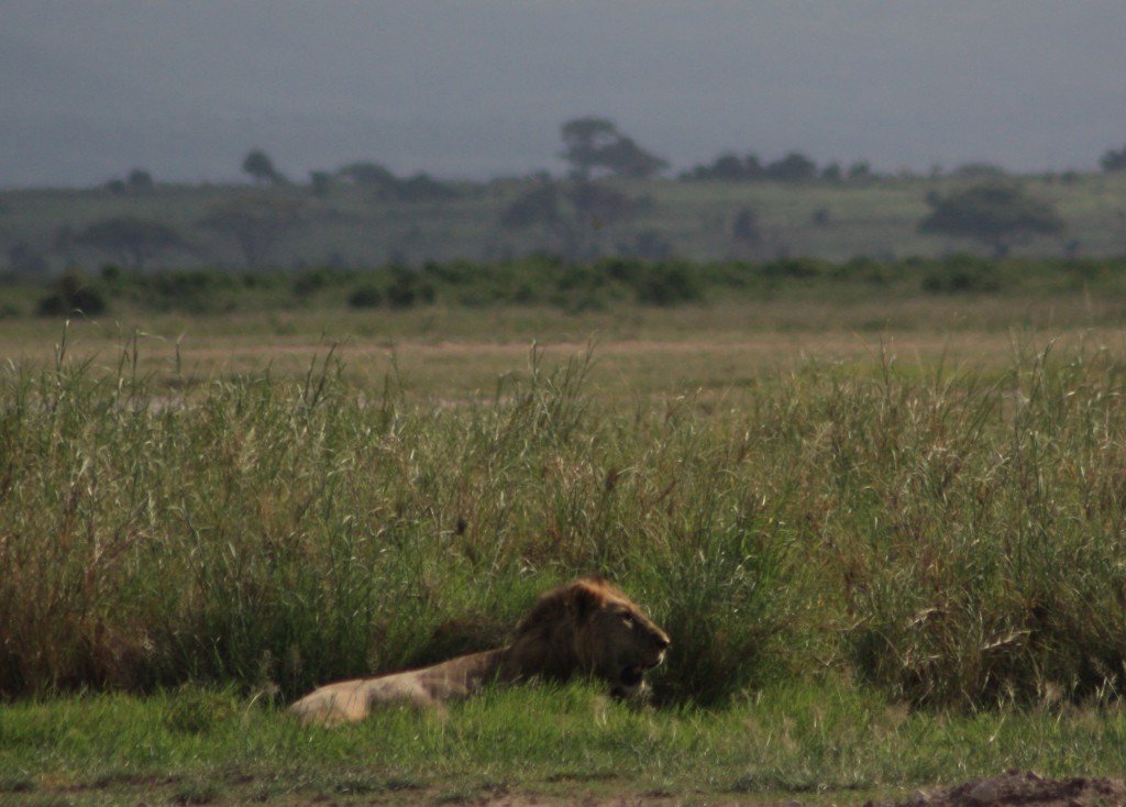 tucks travels in a truck