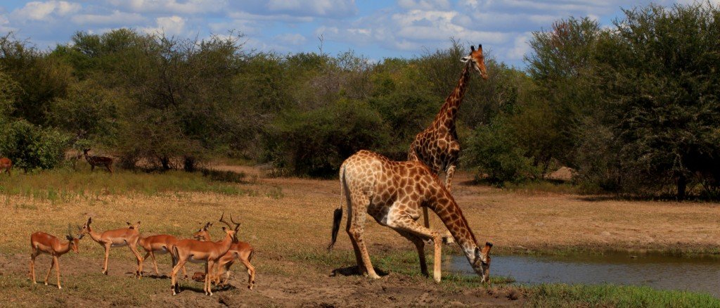 tucks travels in a truck