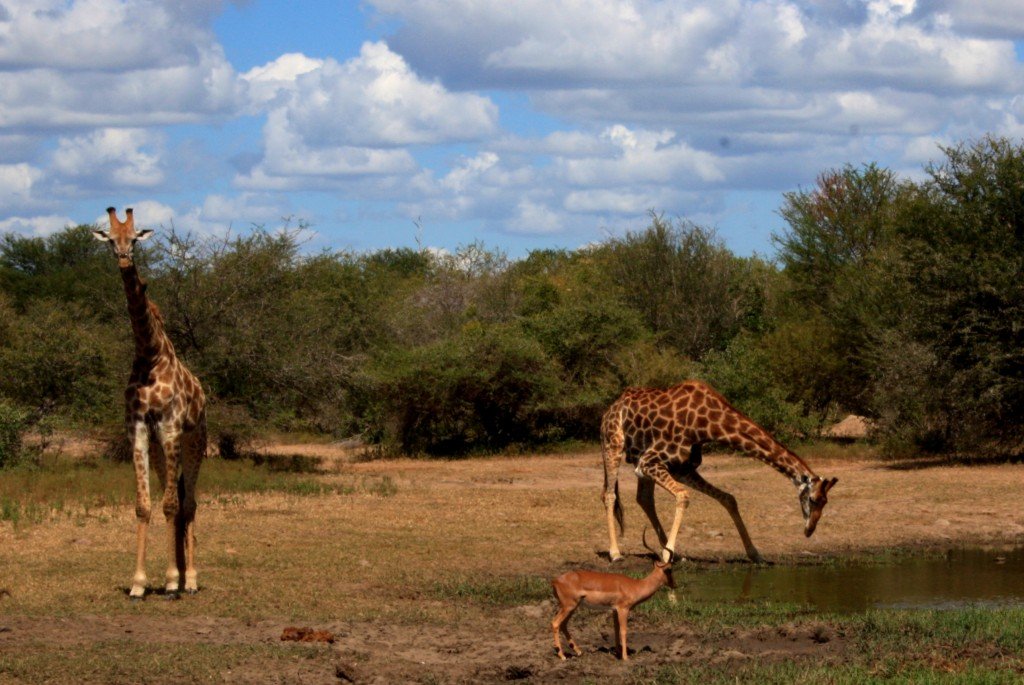 tucks travels in a truck
